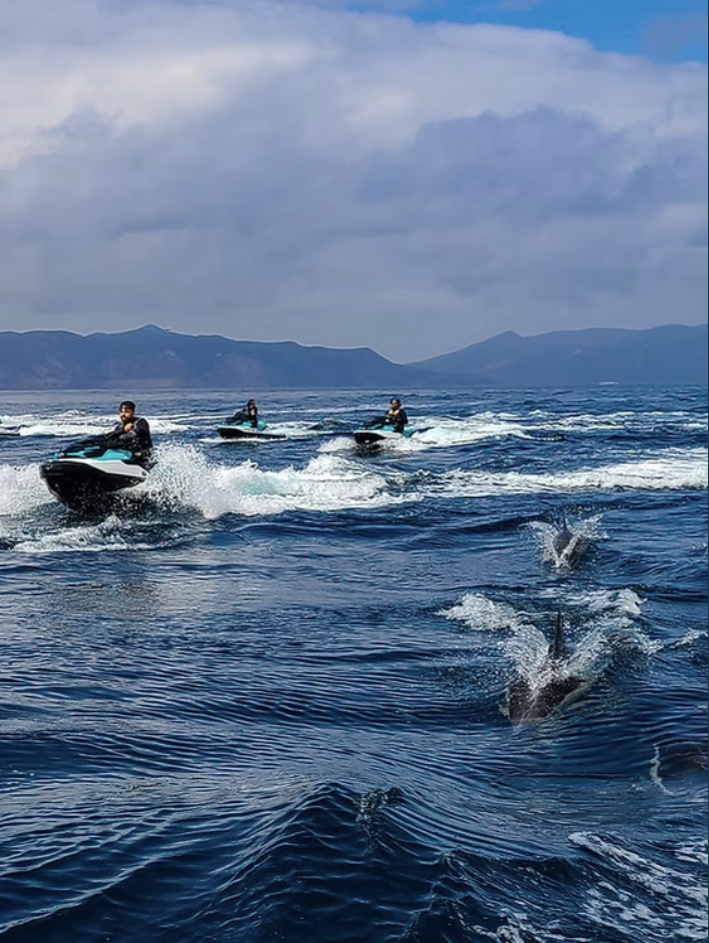 Wave runners crossing open water toward Catalina Island with dolphins nearby